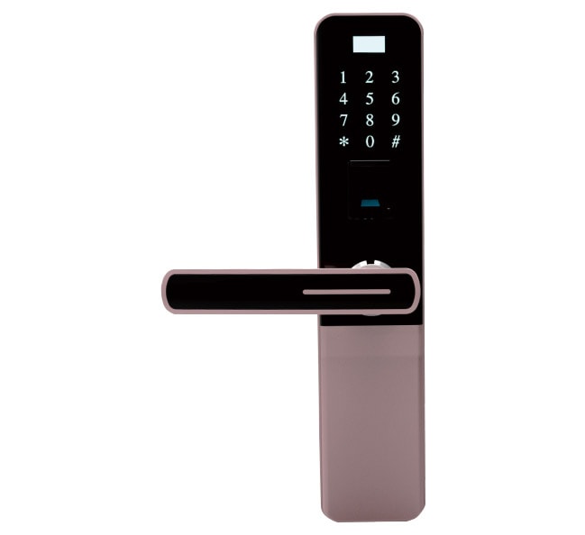 Smart lock Z-10 rose gold (paint)