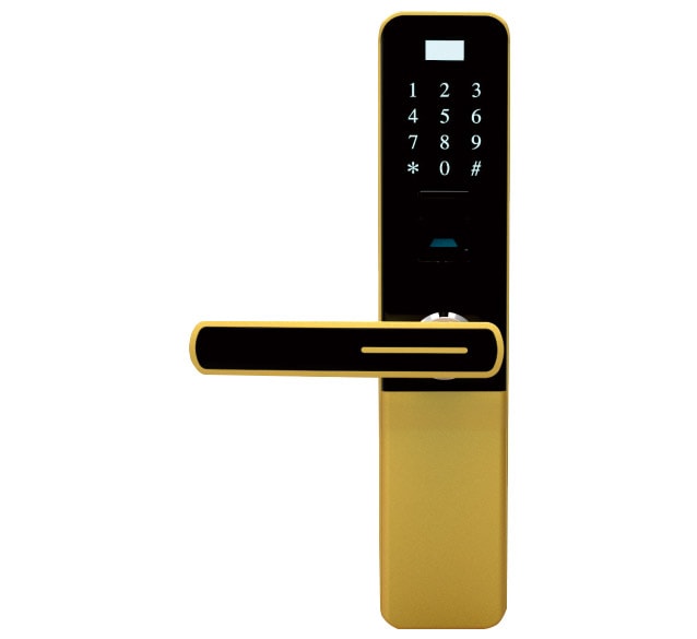 Smart lock Z-10 champagne gold (paint)