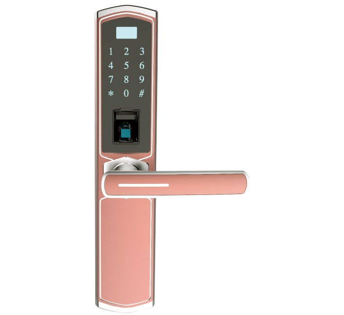 Smart lock Z-11 rose gold